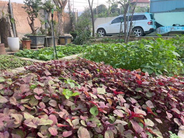 Chính chủ bán gấp  nhà vườn hơn 800m²  giá nhỉnh 7 tỷ 7444622