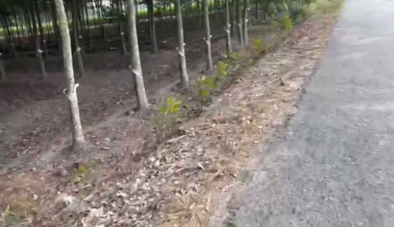Ht cần bán nhanh 2,5 tỷ đất tại thạnh lộc tân biên tỉnh tây 7445366