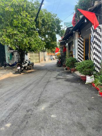 Ban đât 5x24m gia 3,75 ty đương nhưa thông 6m đương 7446544