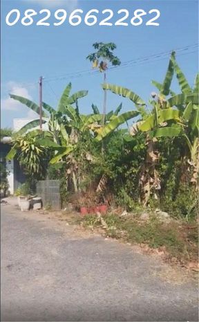 Chỉ 10 triệu m2, sở hữu ngay đất thổ cư sổ hồng riêng 96m2 7447593