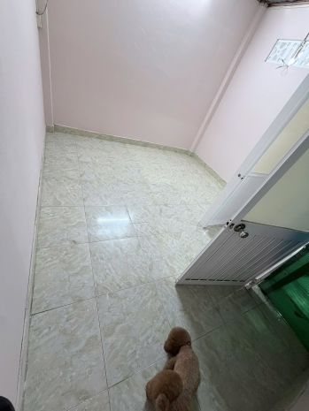 Cho thuê nhà nguyên căn nguyễn văn nghi gò vấp 50m² 1t 1l 7449342