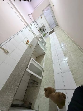 Cho thuê nhà nguyên căn nguyễn văn nghi gò vấp 50m² 1t 1l 7449345