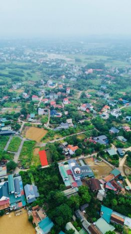 Bán lô đất 156m2 full thổ, xây trọ ngay, mặt tiền 6m, trục 7451649
