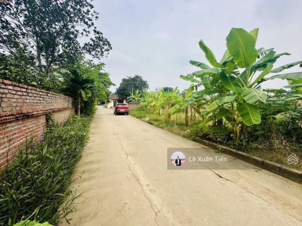 Bán lô đất 156m2 full thổ, xây trọ ngay, mặt tiền 6m, trục 7451652
