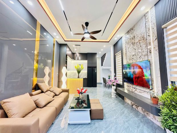 Biệt thự mini sau lưng nhà mặt tiền trường chinh_2 mặt 7452054