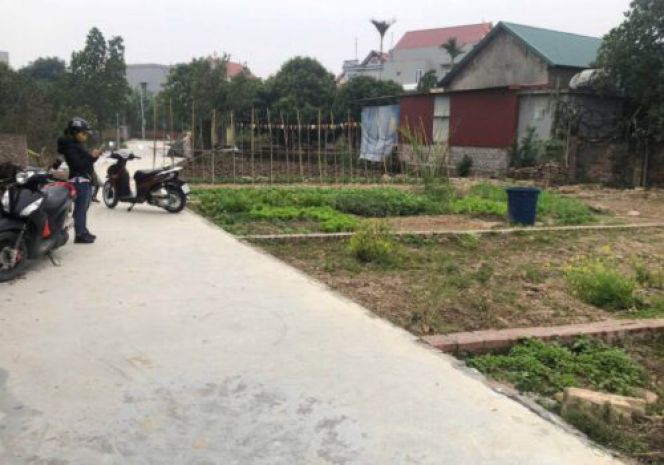 Chính chủ cần bán nhanh lô đất xã cổ bi, huyện bình giang, 7452268