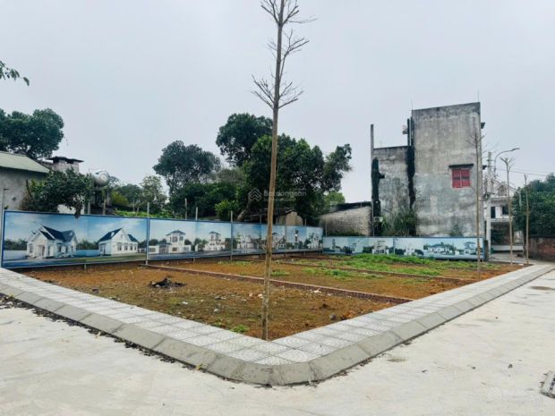Bán đất thổ cư sổ đỏ 100m² tại phú cát, quốc oai, hà nội. 7452867