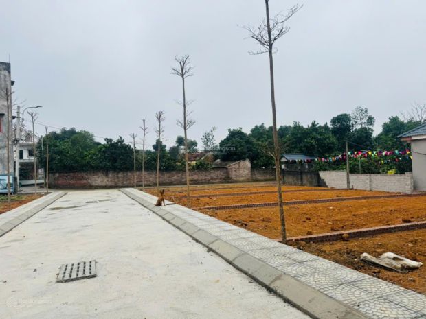Bán đất thổ cư sổ đỏ 100m² tại phú cát, quốc oai, hà nội. 7452869