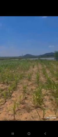 Bán đất view hồ  tựa núi  kdc đông đúc 7453100