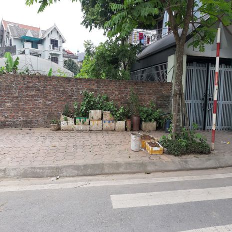 Bán đất đấu giá xã thuận an, hà nội. lô góc 115m2 đường 12m 7453183