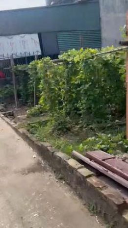 Chính chủ cần bán mảnh đất  sát vin olympic khoảng 300m 7456079