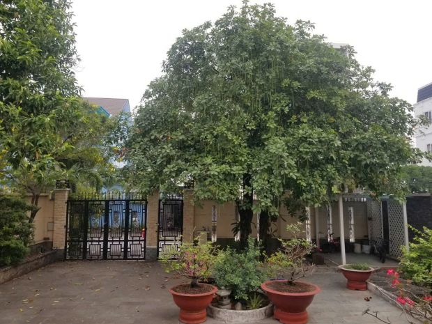 Biệt thự mặt tiền tl49  thạnh lộc q12  571m² thổ cư  giá 7463041
