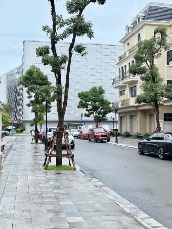 Nhỉnh 20.x tỷ siêu phẩm song lập kinh đô  trái tim kinh đô 7463773