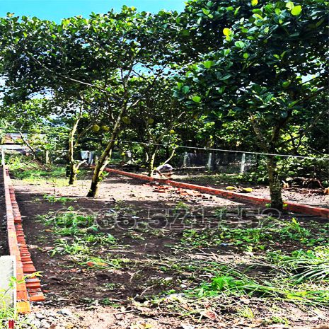 210m² thổ cư, ngay chợ hàm nghi  tp long khánh  đn. cơ 7465641
