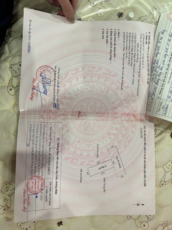 Bán lô đất tiềm năng tại tiểu trà, hưng đạo - dương kinh 7465987