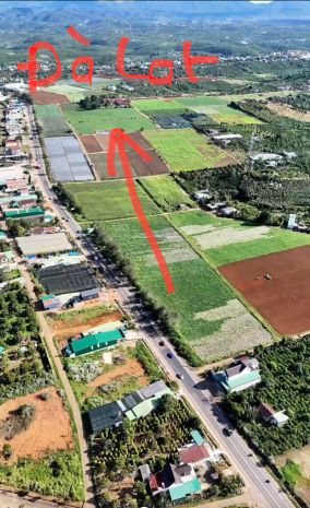 Đất chính chủ - giá tốt tại ql20 xã hòa ninh, huyện di 7470068