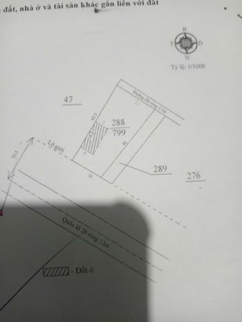 Đất chính chủ - giá tốt tại ql20 xã hòa ninh, huyện di 7470072