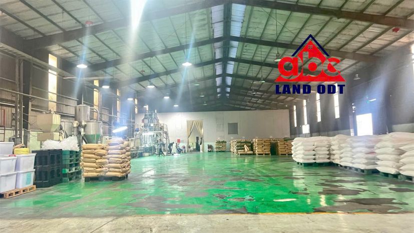 Xn243 sẵn xưởng phù hợp nhiều loại hình sản xuất, ưu tiên 7470530