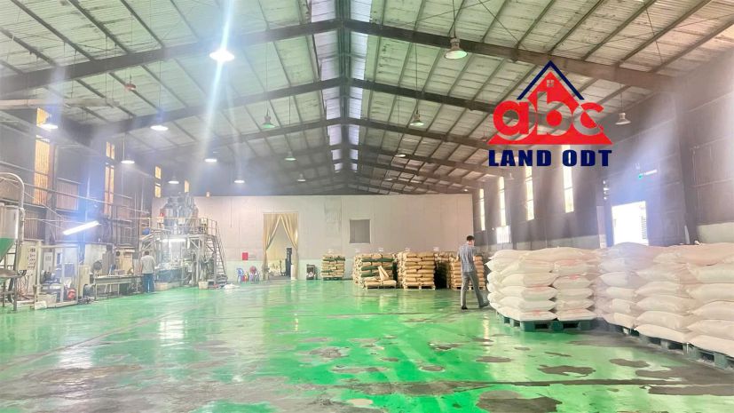 Xn243 sẵn xưởng phù hợp nhiều loại hình sản xuất, ưu tiên 7470531