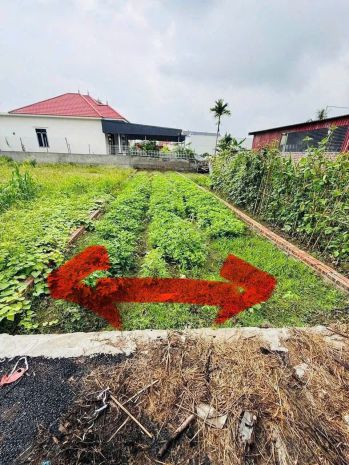 Bán đất đoan xá 2 - đoàn xá - kiến thụy - hải phòng 7470650