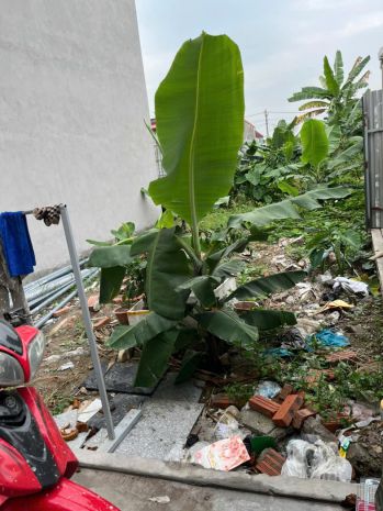 Mặt đường 353 phạm văn đồng - vị trí đắc địa tại dương kinh 7470828