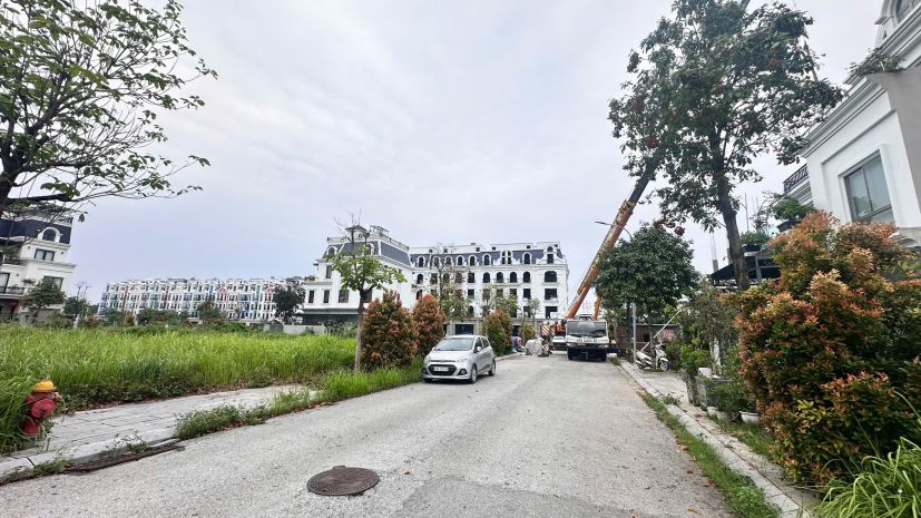 Bán đất biệt thự 200m²  52trm2 tại kđt bắc đầm vạc, vĩnh 7472100