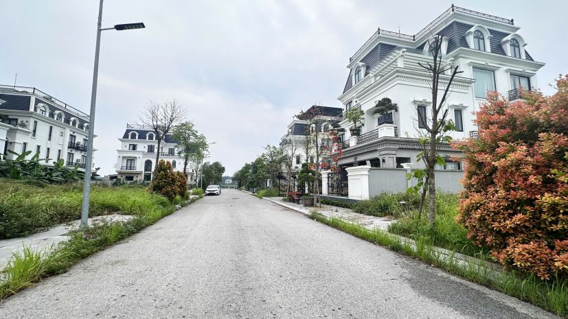 Bán đất biệt thự 200m²  52trm2 tại kđt bắc đầm vạc, vĩnh 7472102