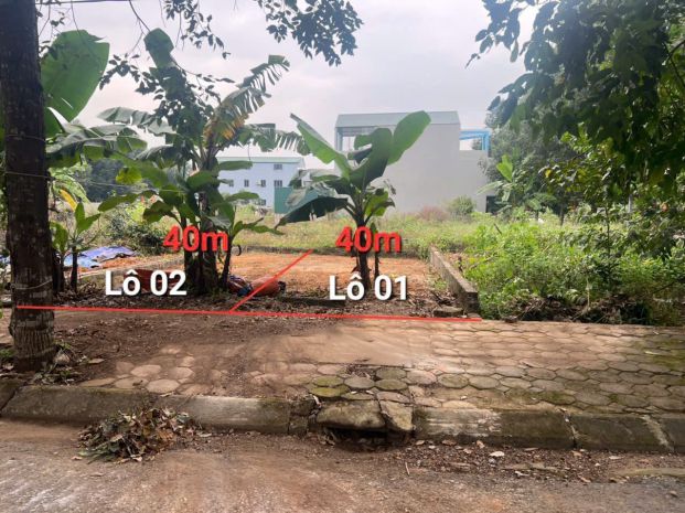 2 lô hoa hậu tđc đhqg hoà lạc 7475433