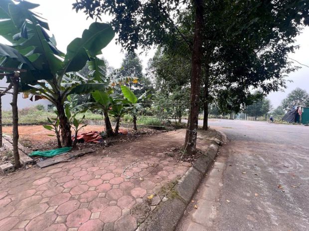 2 lô hoa hậu tđc đhqg hoà lạc 7475434