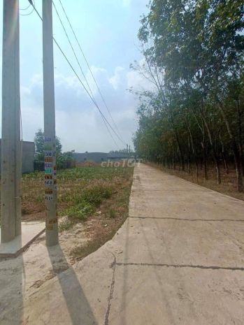 Đất đẹp  giá tốt  chính chủ cần bán lô đất tại quốc lộ 7476181