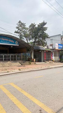 Bán đất trung tâm thị trấn kép, huyện lạng giang, bắc 7477389