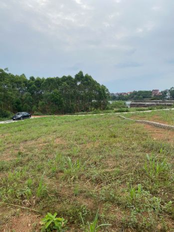 Bán lô đất 721m2 tại quỳnh sơn - yên dũng - bắc giang. 7477910