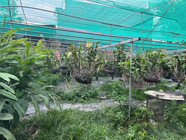 Bán đất 2 mặt tiền đường dương công khi  diện tích lớn 7478334