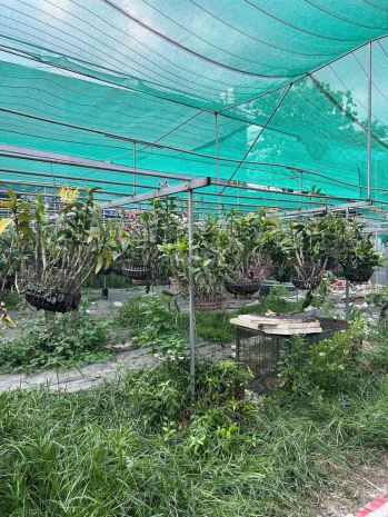Bán đất 2 mặt tiền đường dương công khi  diện tích lớn 7478335