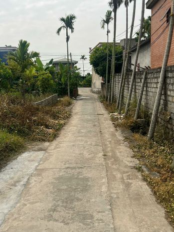 Bán lô đất đẹp tại tổ dân phố 12 - phường hòa nghĩa - dương 7478414