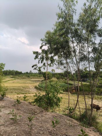 Bán đất sóc sơn, 100m full đất ở, 3 mặt thoáng, view cánh 7479634