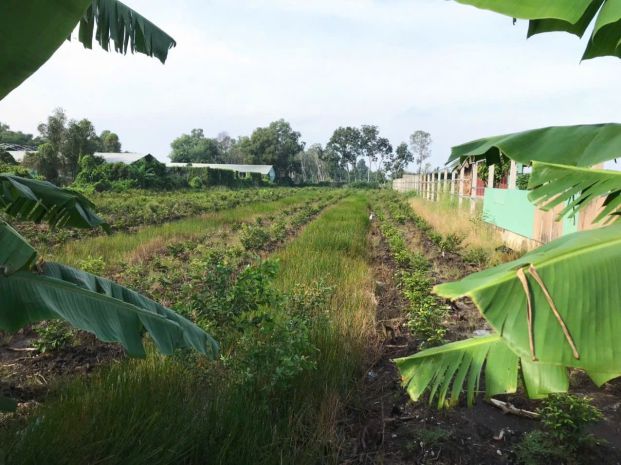 Cân ban 1000m2 6,4x153 mt đương kênh trâm lây 1 7480640