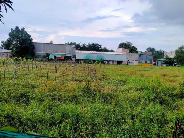 Bán gấp - 1510m2 đất mt xuân thới thượng 4-1, hóc môn, 35 7484018