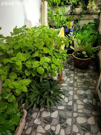 Bán nhà đẹp hưng phú quận 8 76m  1 trệt 1 lầu  chủ giảm sâu 7484950