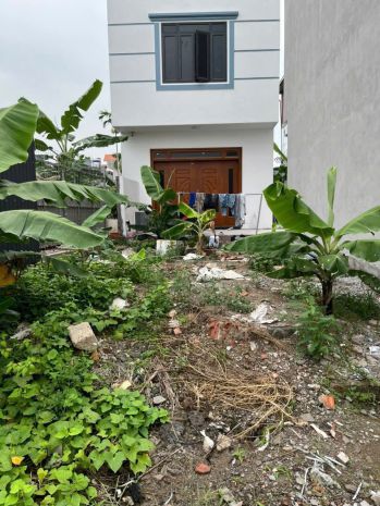 Hàng hiếm hải thành 2 - dương kinh - 41.2m2 - dương kinh - 7485166