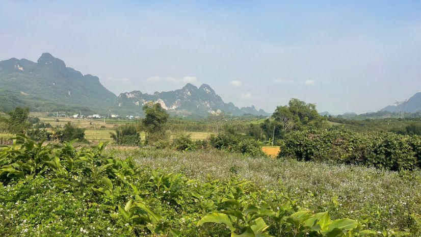 Đất cao phong giá sốc chỉ dưới 1 triệum² sở hữu 6000m² 7487507