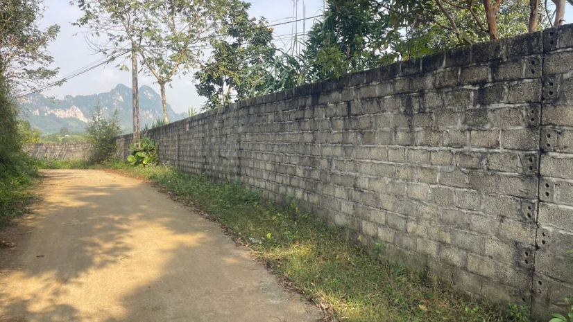 Đất cao phong giá sốc chỉ dưới 1 triệum² sở hữu 6000m² 7487509