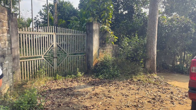 Đất cao phong giá sốc chỉ dưới 1 triệum² sở hữu 6000m² 7487510