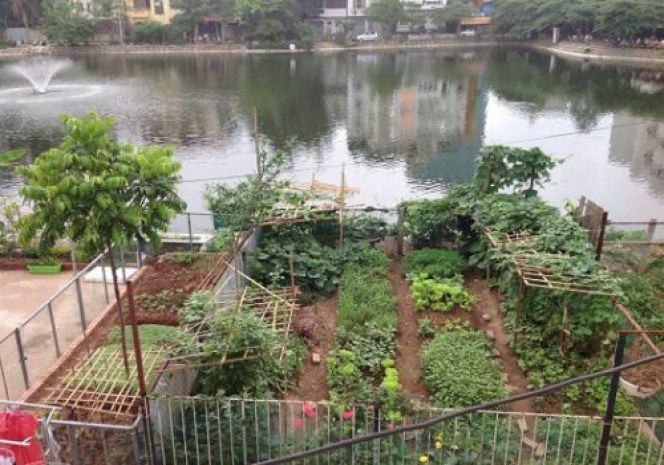 Chính chủ cho thuê nhà mặt hồ bảy gian  phố đội cấn 7489336