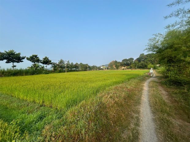 Đất nhà vườn  giá tốt  chính chủ cần bán đất tại thôn 4, 7490191