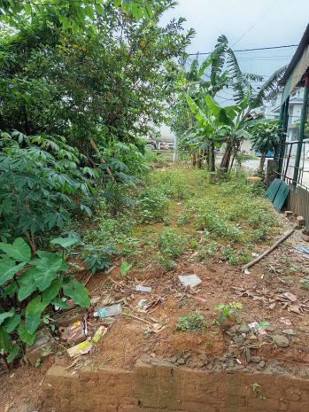 Chính chủ cần bán lô đất có vị trí đẹp tại xã mạn lạn - 7492778