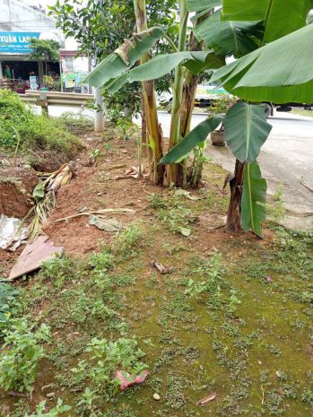 Chính chủ cần bán lô đất có vị trí đẹp tại xã mạn lạn - 7492779