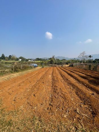 Đất cao phong siêu hiếm  7.000m², view hồ  cánh đồng, giá 7493564