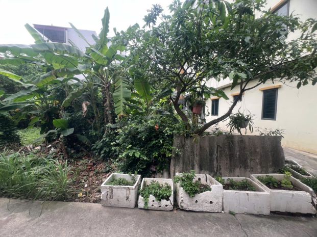 Bán đất đức thượng, hoài đức - 46m đường thông tứ tung - 7494837