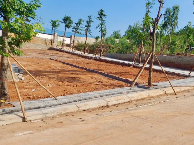 Toạ độ vàng đón sóng vinhomes: đất full thổ cư mặt tiền 7495504